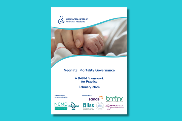 BAPM Neonatal Mortality Governance Framework